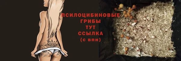 ешки Осинники