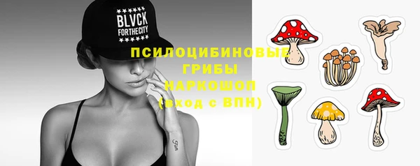 jwh Белокуриха