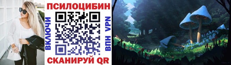 Псилоцибиновые грибы Magic Shrooms купить наркотики цена Няндома